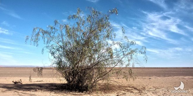 20181026_090914_1500