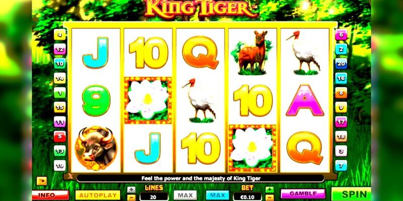 premium-winbig21-casino.jpg